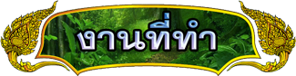 งานที่ทำ