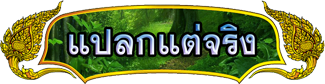 แปลกแต่จริง